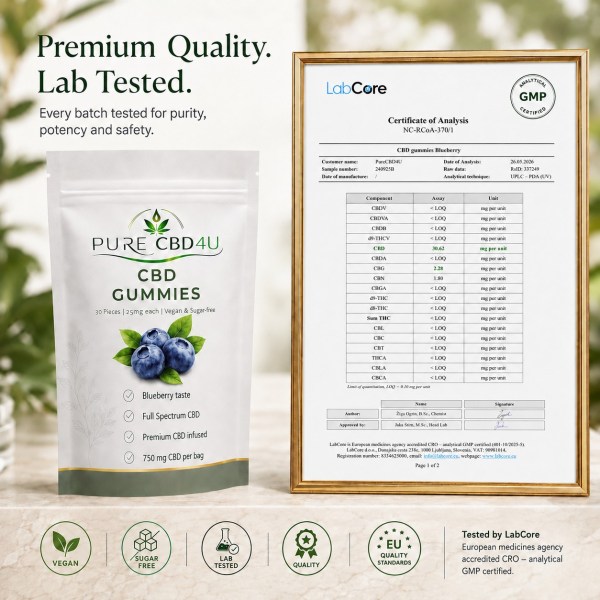 CBD Gummies blueberry flavor