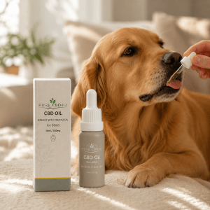CBD Oil Cão 2,5% premium da Pure CBD 4U – óleo de CBD Full Spectrum de alta qualidade para cães, concebido para apoiar o bem-estar diário e fácil de administrar com uma prática pipeta conta-gotas.