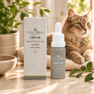Immagine lifestyle premium del CBD Oil Broad Spectrum per Gatti 2,5% (10 ml/250 mg) di Pure CBD4U con un gatto rilassato in un ambiente domestico caldo e naturale.