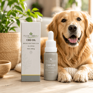 Imagem lifestyle premium do CBD Oil Broad Spectrum para Cães 2,5% (10 ml/250 mg) da Pure CBD4U com um cão feliz num ambiente doméstico quente e natural.