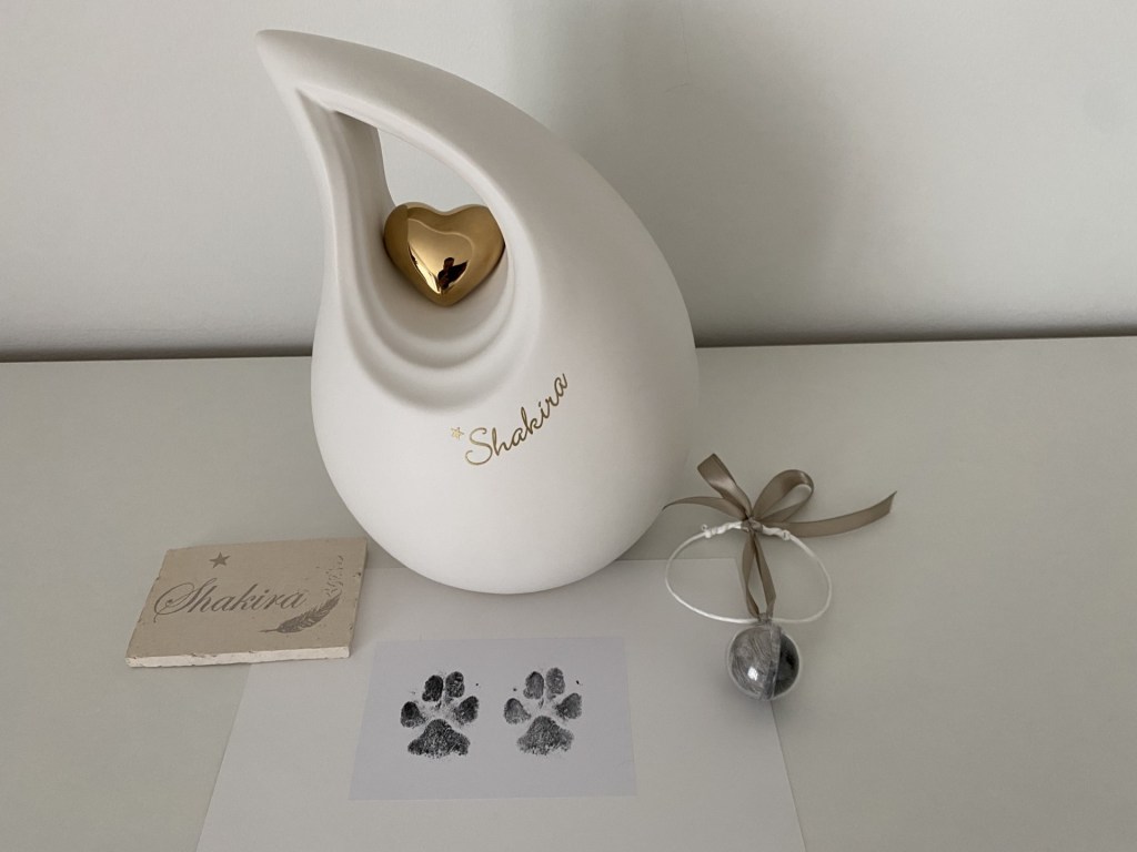 Shakira's memorial urn, remembering our beloved senior dog