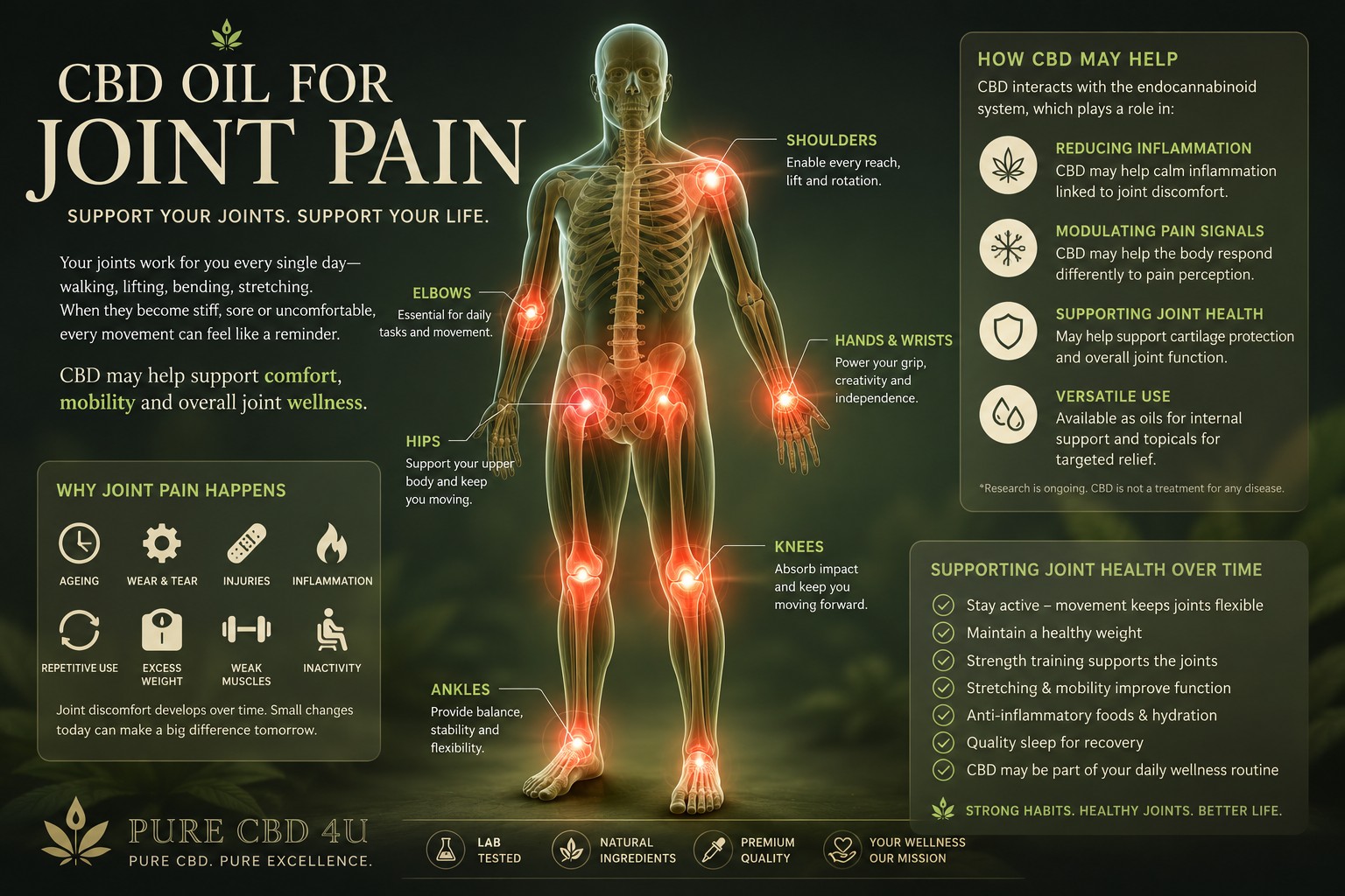 Medical illustration of the human body highlighting the major joints in red, including the shoulders, elbows, wrists, hips, knees and ankles, for a blog about CBD oil for joint pain.