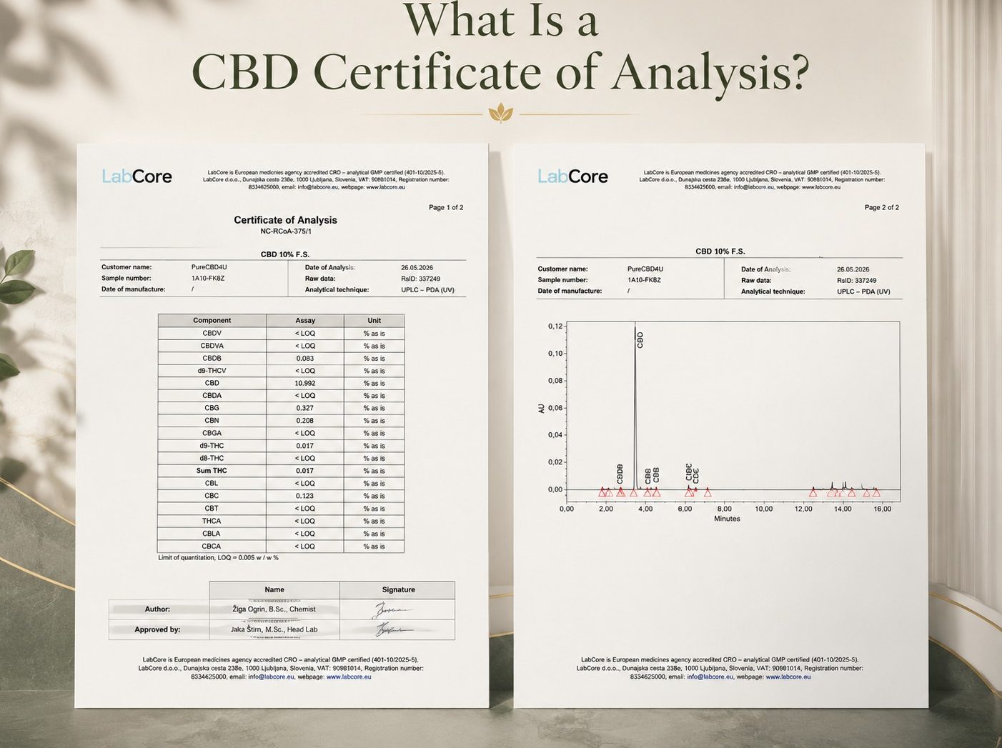 Premium illustration showing a CBD Certificate of Analysis (COA) with both laboratory report pages, highlighting the importance of independent third-party testing and product transparency.